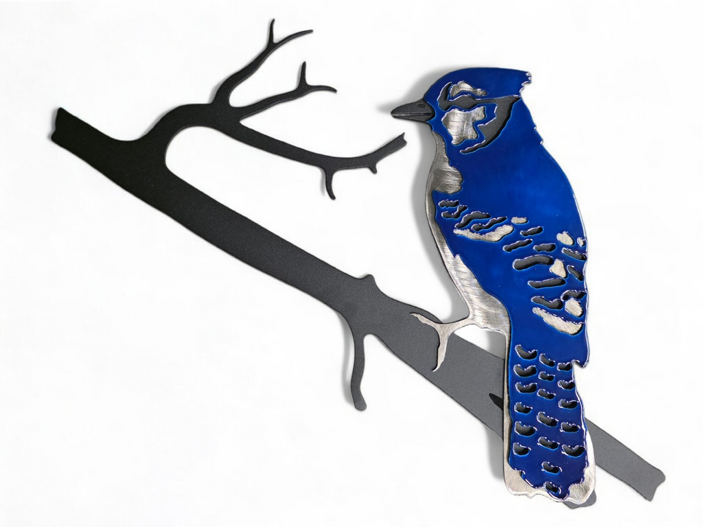 Blue Jay on Branch