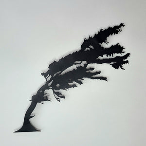 Wild Pacific Windswept Tree