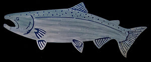 Chinook Salmon, Tyee
