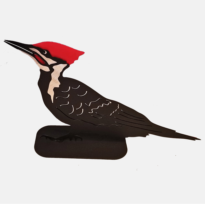 Pileated Woodpecker, Standing